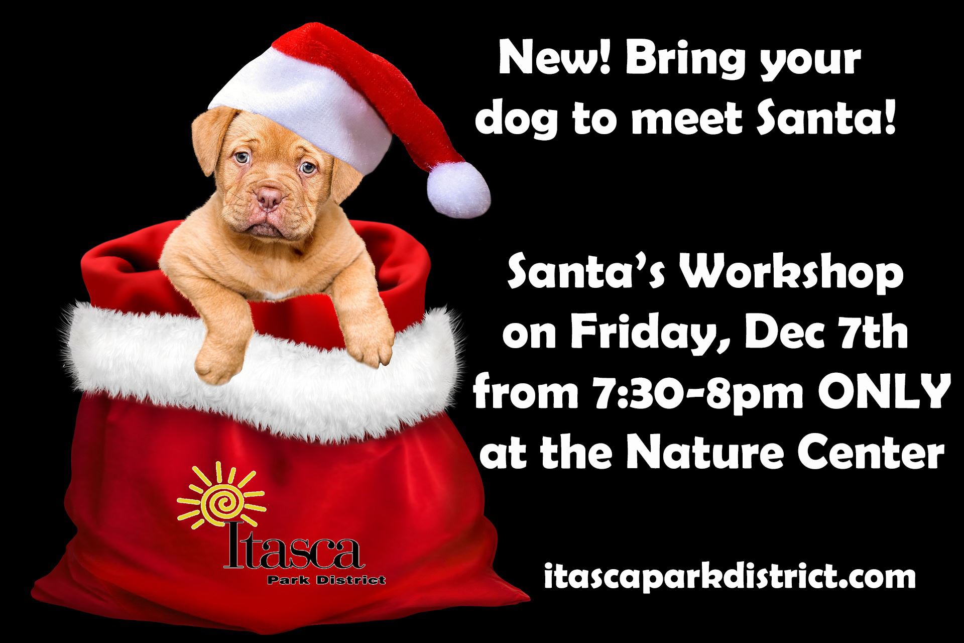 Santas Workshop dogs 2018