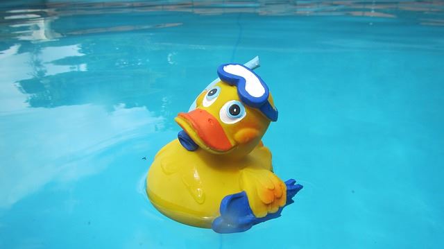 rubber duck